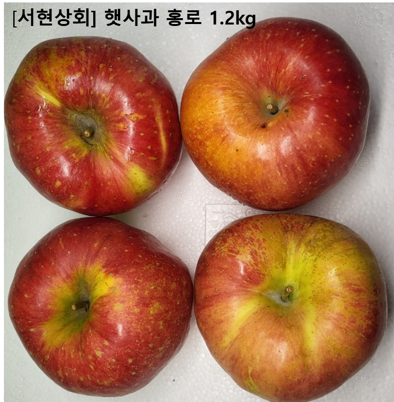 이미지1